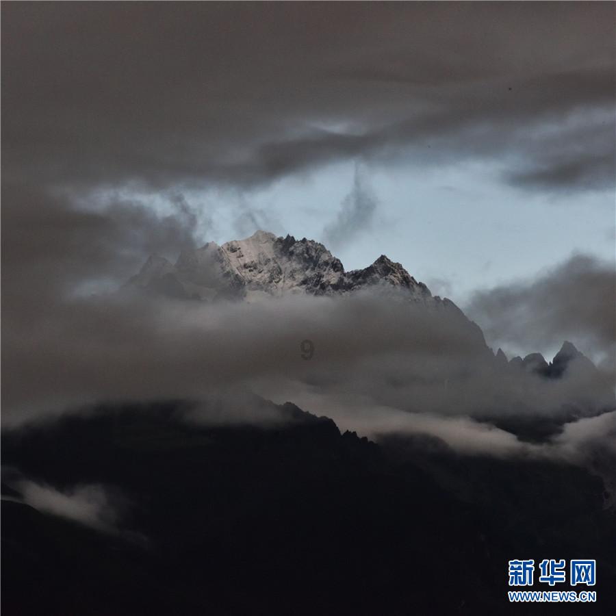 空闲农场